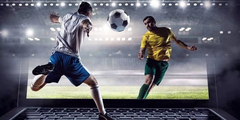Sản phẩm cá cược thể thao với tỷ lệ thưởng cao nhất